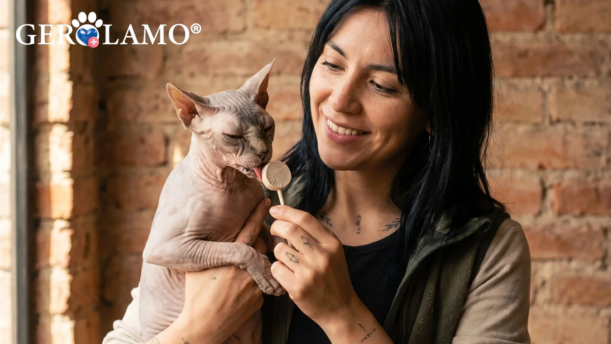 Cómo conectar con tu gato y demostrarle que lo quieres