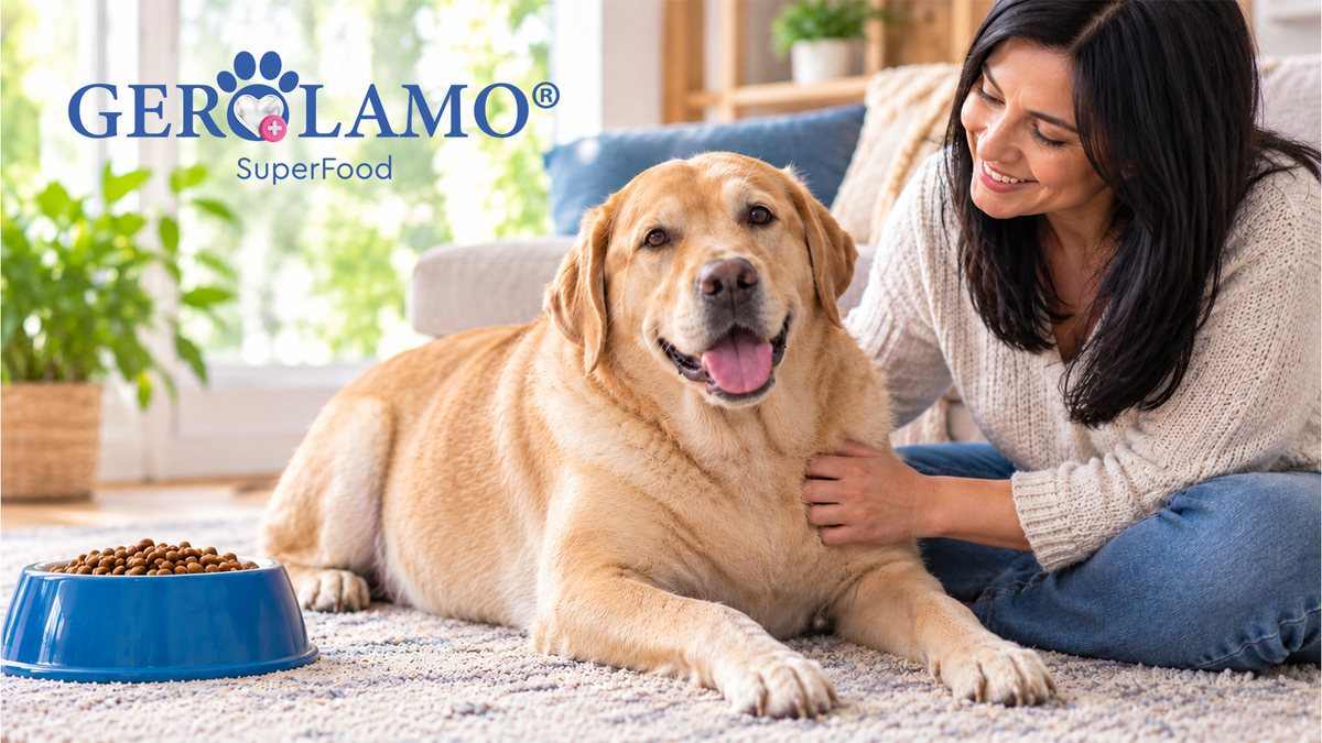 ¿Cómo saber si tu perro tiene sobrepeso?