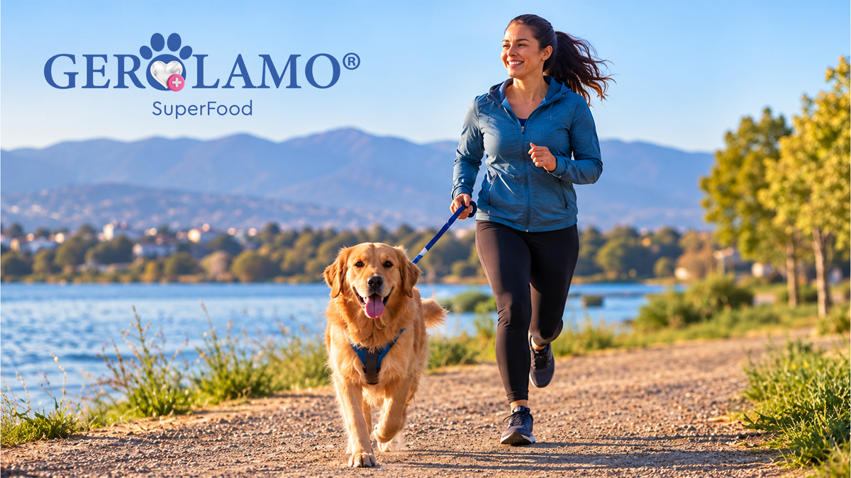 Cómo salir a correr con tu perro: consejos para compartir la aventura