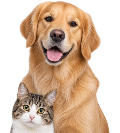 Gerolamo Pets