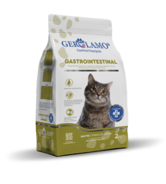Gerolamo Gato – Gastrointestinal