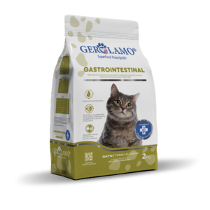 Gerolamo Gato – Gastrointestinal
