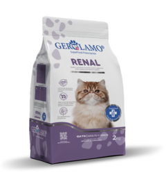 Gerolamo Gato – Renal