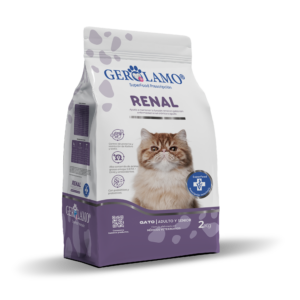 Gerolamo Gato – Renal
