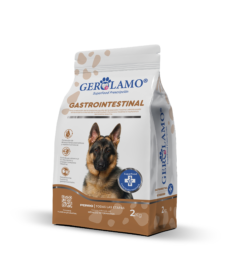 Gerolamo Perro - Gastrointestinal2