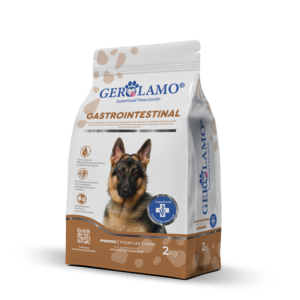 Gerolamo Perro - Gastrointestinal2
