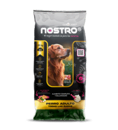 Nostro Perro Adulto Todas Las Razas