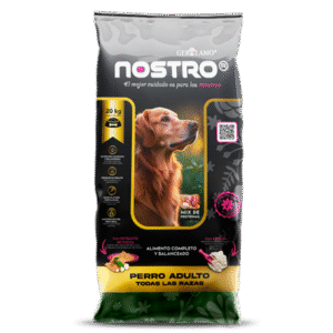 Nostro Perro Adulto Todas Las Razas