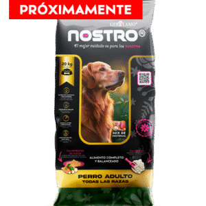 Nostro Perro Adulto Todas Las Razas