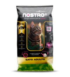 Nostro Gato Adulto