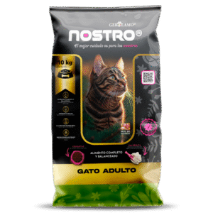 Nostro Gato Adulto