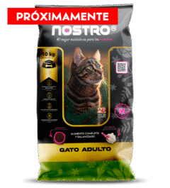 Nostro Gato Adulto