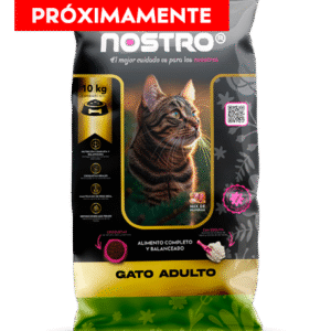 Nostro Gato Adulto
